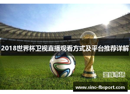 2018世界杯卫视直播观看方式及平台推荐详解