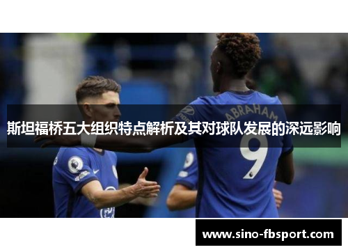 斯坦福桥五大组织特点解析及其对球队发展的深远影响