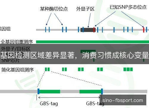 基因检测区域差异显著，消费习惯成核心变量